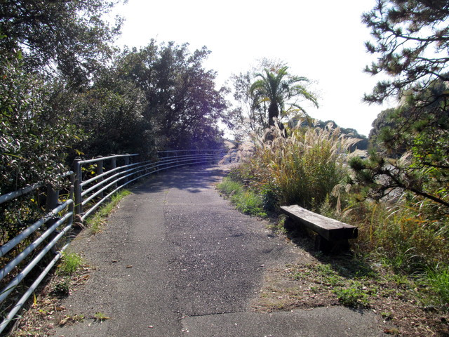 t22_064.jpg