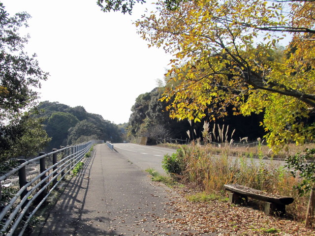 t22_065.jpg