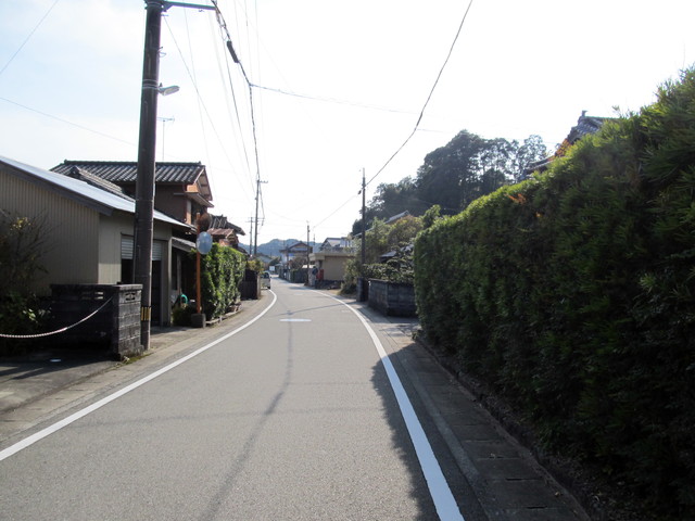 t22_078.jpg