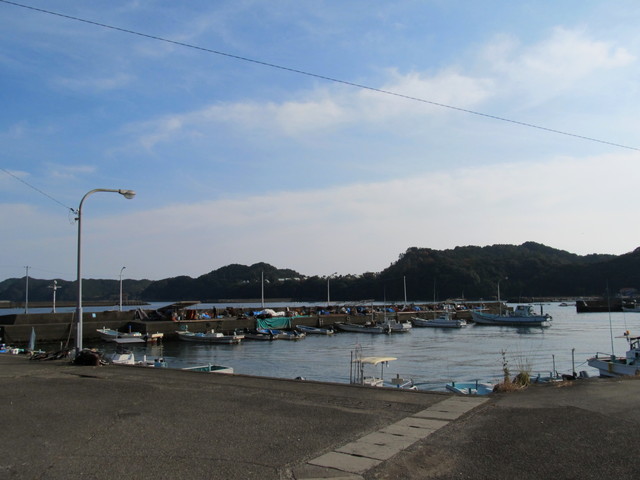 t22_083.jpg