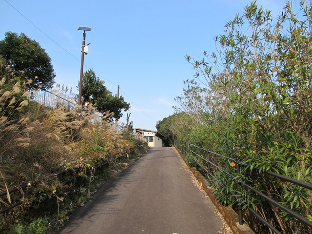 t22_094.jpg