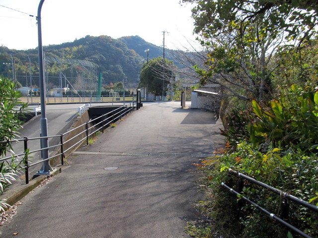 t23_003.jpg