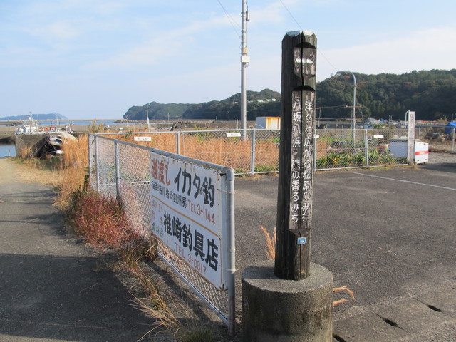 t23_011.jpg