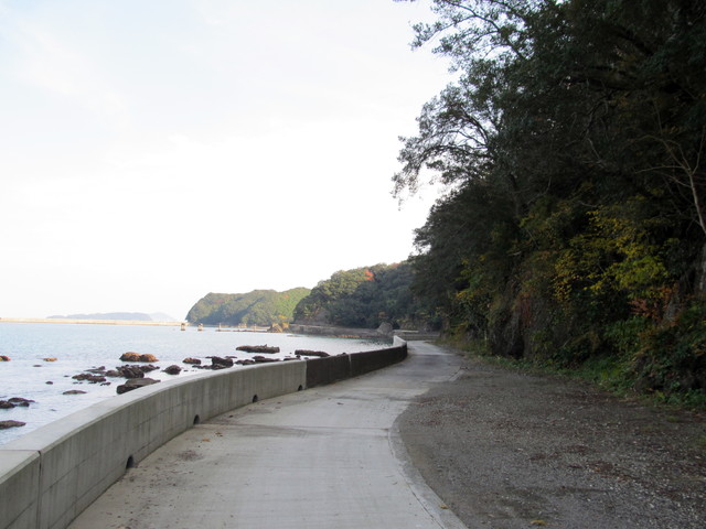 t23_031.jpg