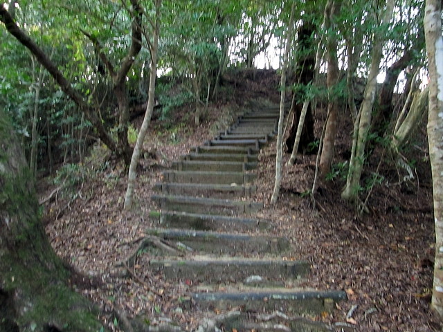 t23_038.jpg