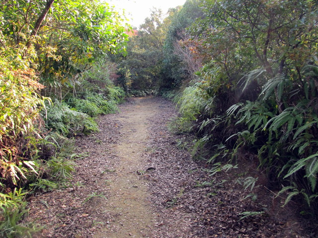 t23_047.jpg