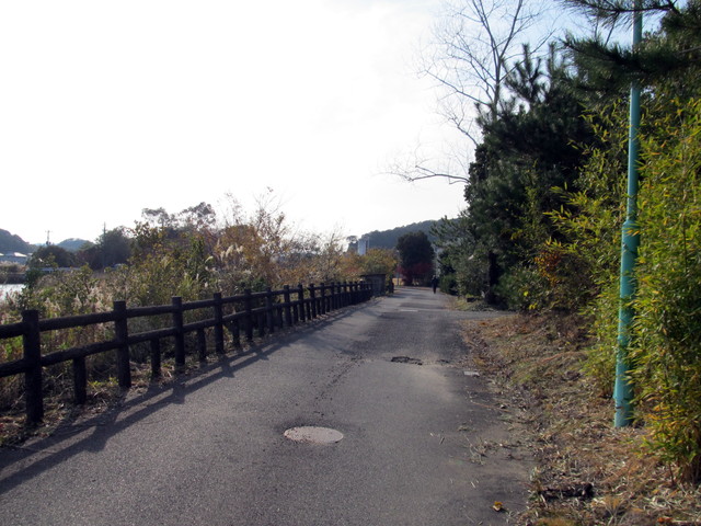 t23_063.jpg