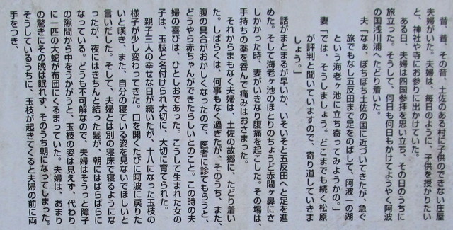 t23_065.jpg