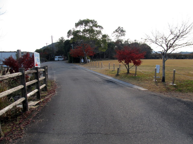 t23_067.jpg
