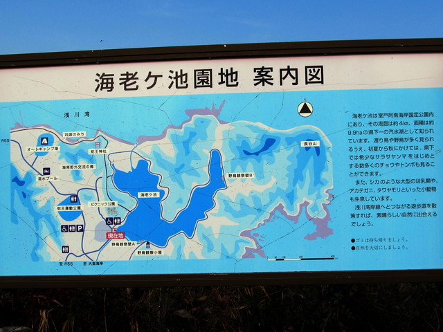 t23_068.jpg