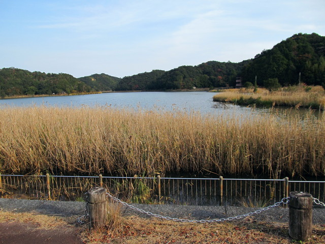 t23_069.jpg