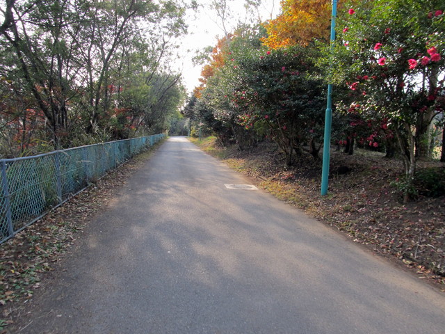 t23_070.jpg