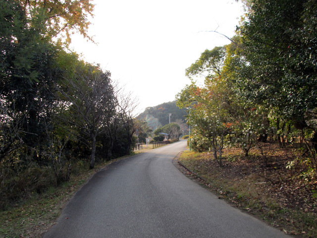 t23_071.jpg