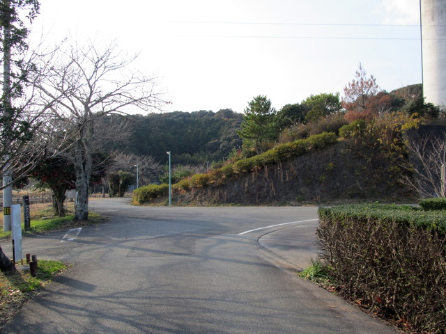 t23_072.jpg