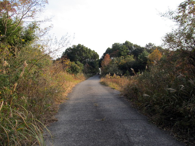 t23_077.jpg