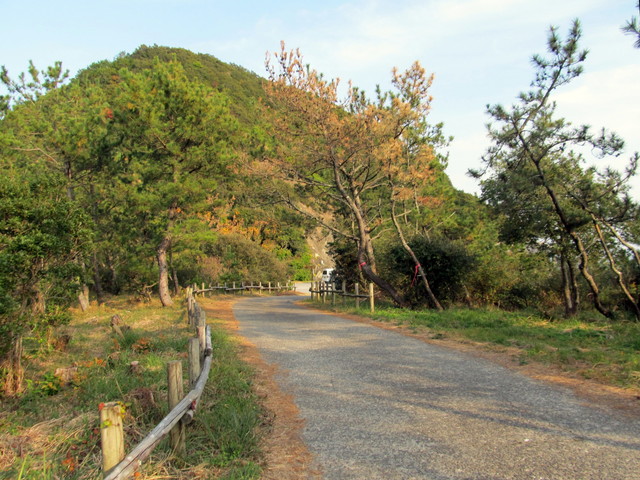 t23_079.jpg