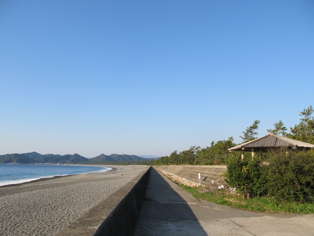 t23_082.jpg
