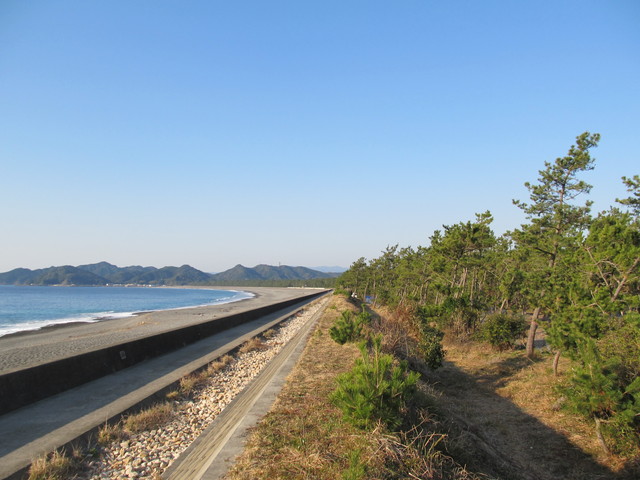 t23_084.jpg
