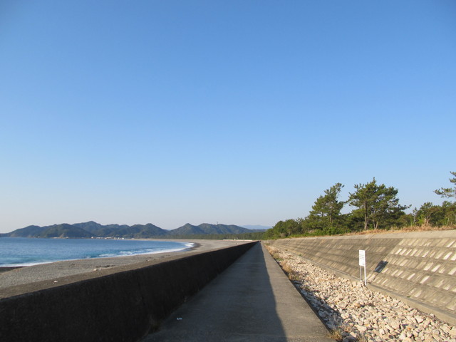 t23_085.jpg