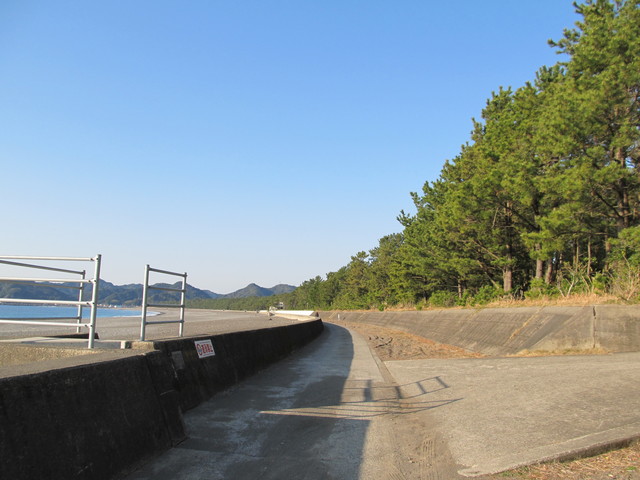 t23_089.jpg