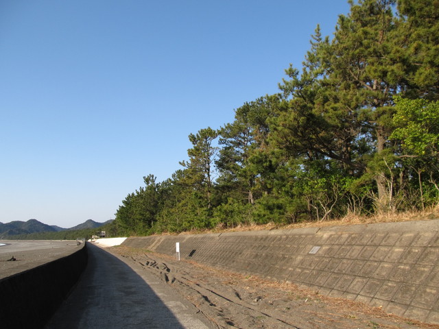 t23_090.jpg
