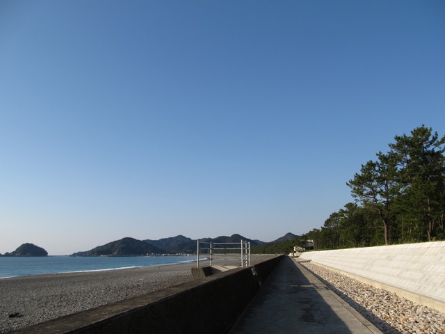 t23_091.jpg