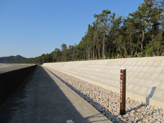 t23_096.jpg