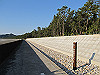 t23_096_thumb.jpg