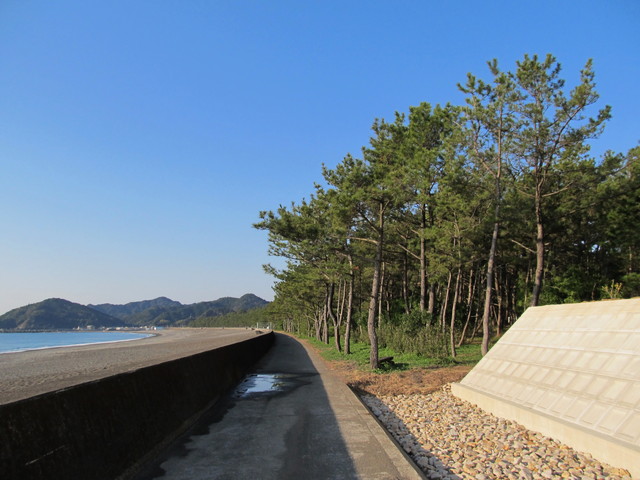 t23_097.jpg