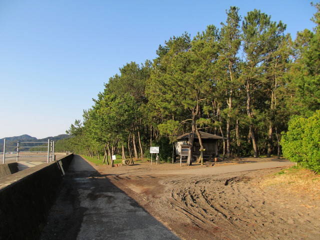 t23_098.jpg