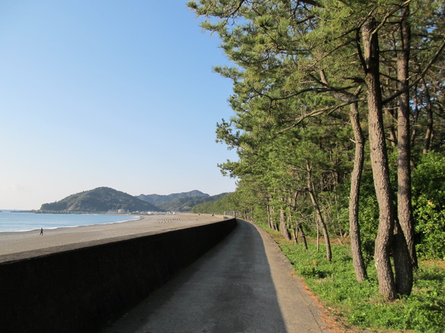 t23_099.jpg