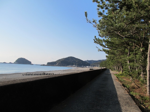 t23_100.jpg