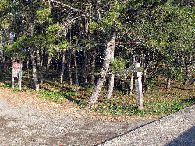 t23_101.jpg