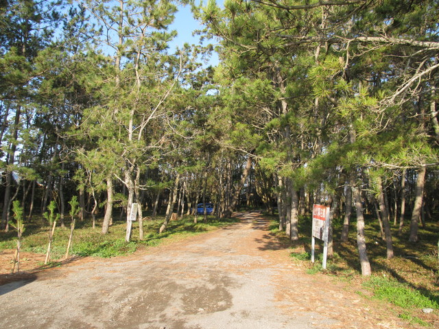 t23_102.jpg