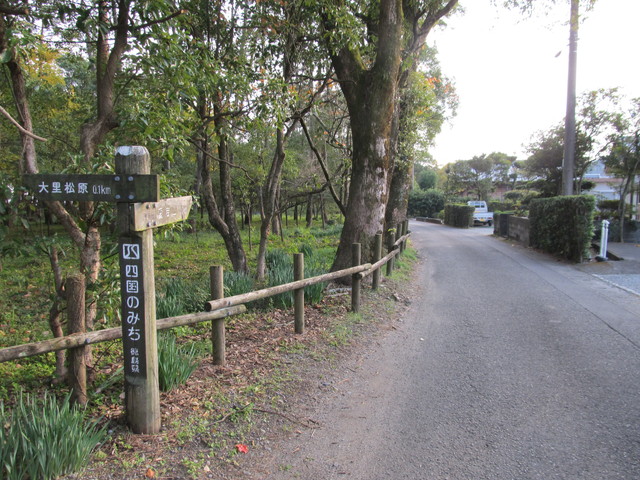 t23_106.jpg