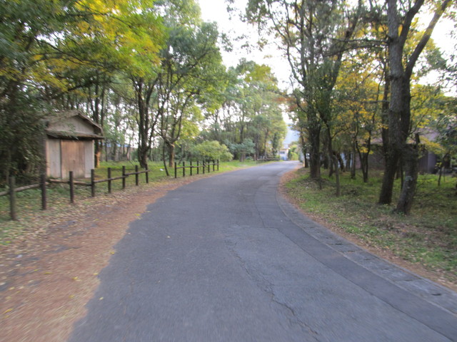 t23_107.jpg