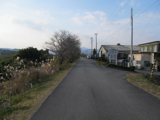 t23_110.jpg