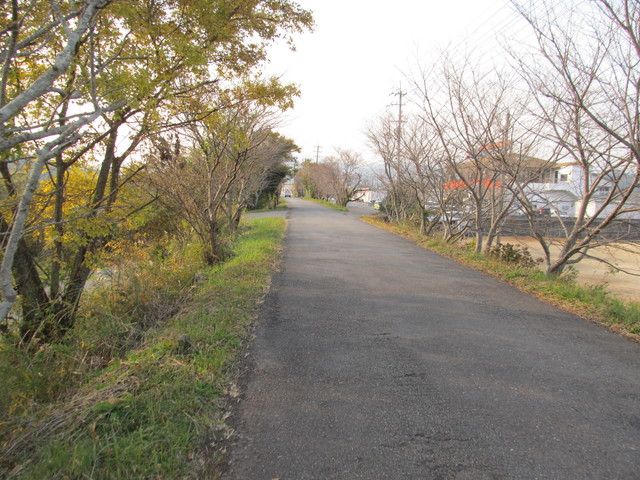 t23_112.jpg