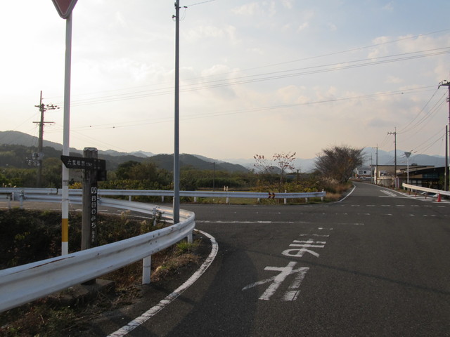 t23_113.jpg