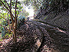 t23_150_thumb.jpg