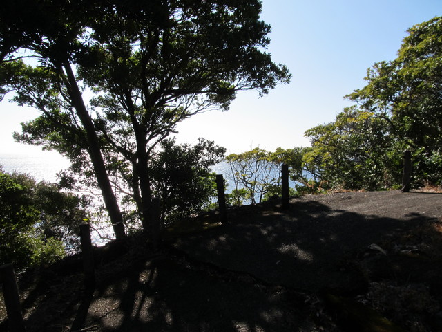 t23_151.jpg