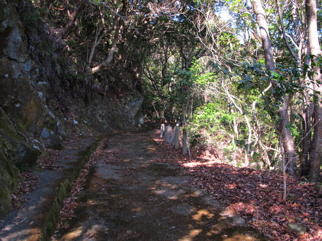 t23_154.jpg