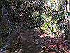 t23_154_thumb.jpg