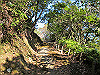 t23_157_thumb.jpg