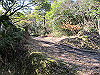 t23_159_thumb.jpg