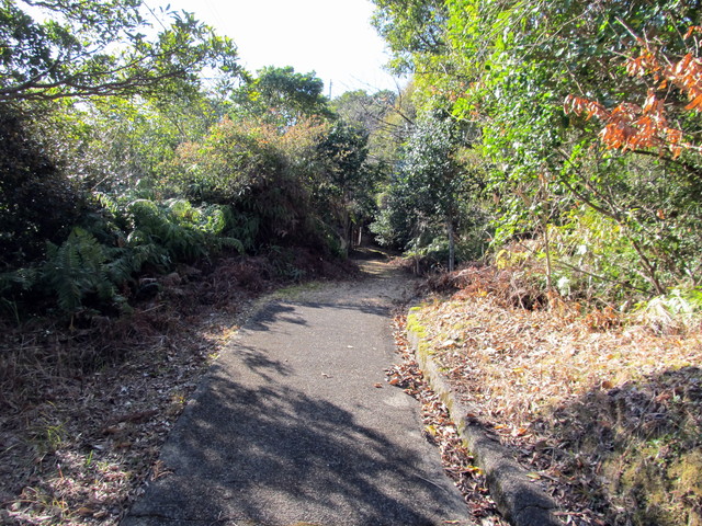 t23_160.jpg