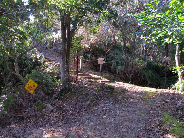 t23_161.jpg