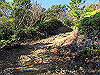 t23_164_thumb.jpg