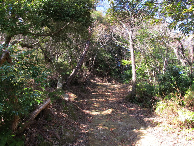 t23_170.jpg
