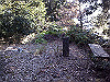 t23_175_thumb.jpg